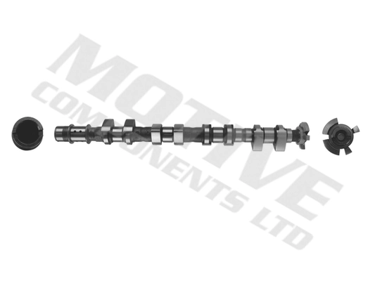 T4017 Motive