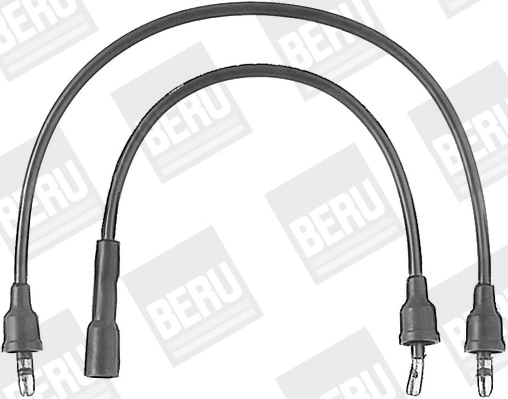 ZEF579 Beru