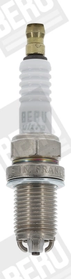 Z173 Beru