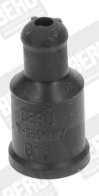 G1S Beru