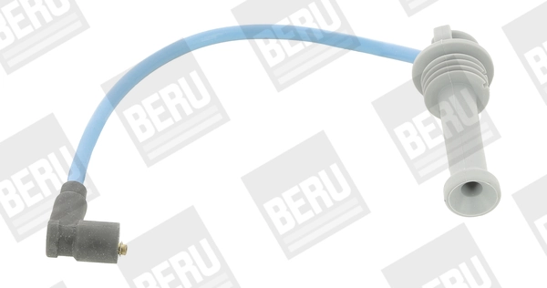 R420 Beru