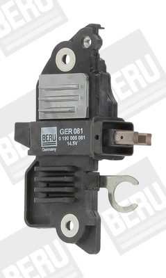 GER081 Beru
