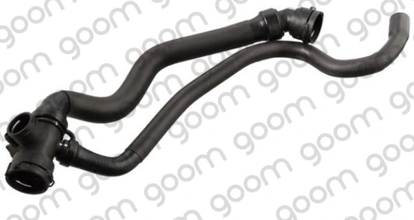 RH0098 Goom