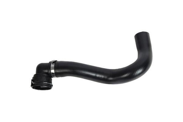 RH2907 Goom