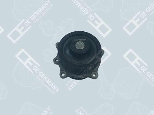  para Iveco Stralis  ()
