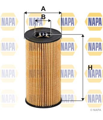 NFO3250 Napa