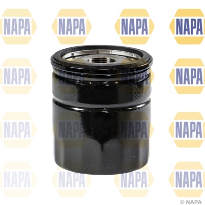 NFO3176 Napa