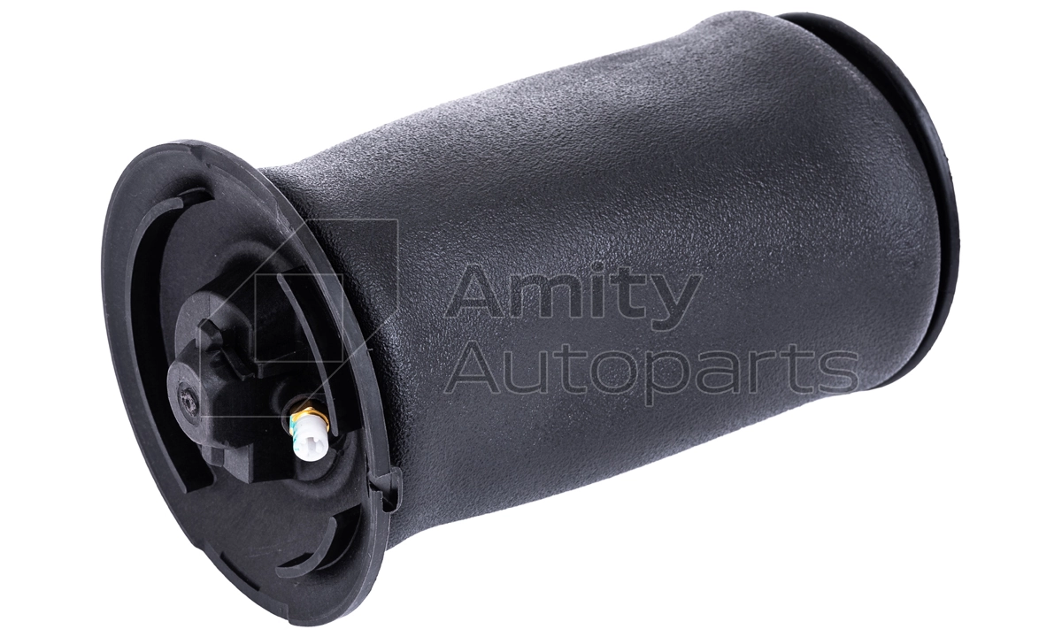 10AS0015 Amity AP
