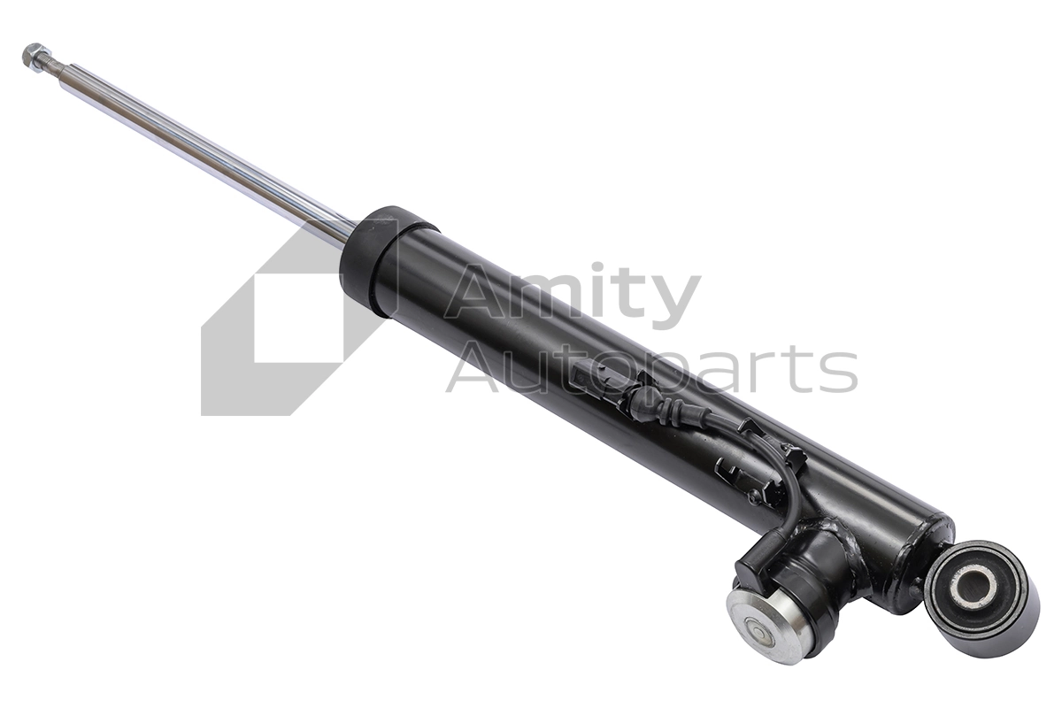 60SH0019 Amity AP