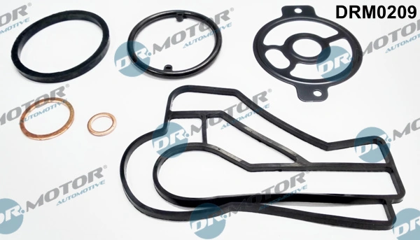 DRM0209 Dr.motor