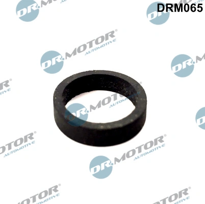 DRM065 Dr.motor
