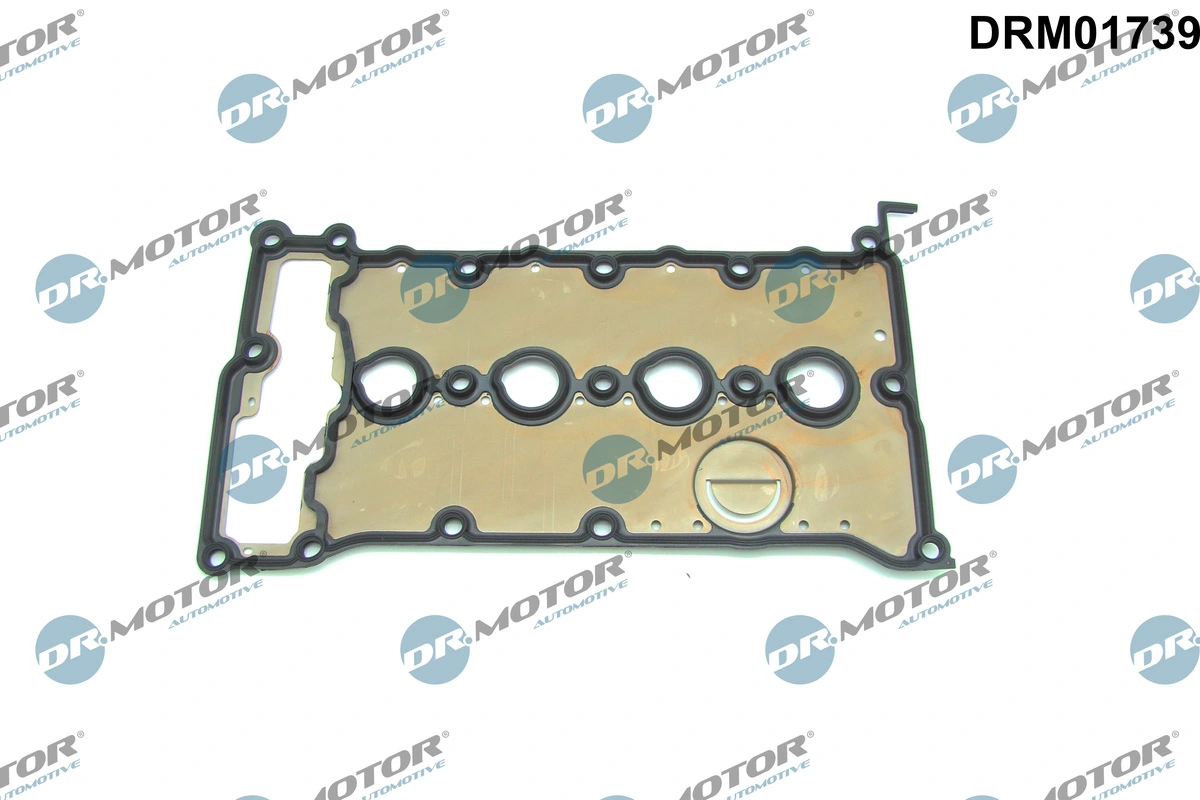 DRM01739 Dr.motor