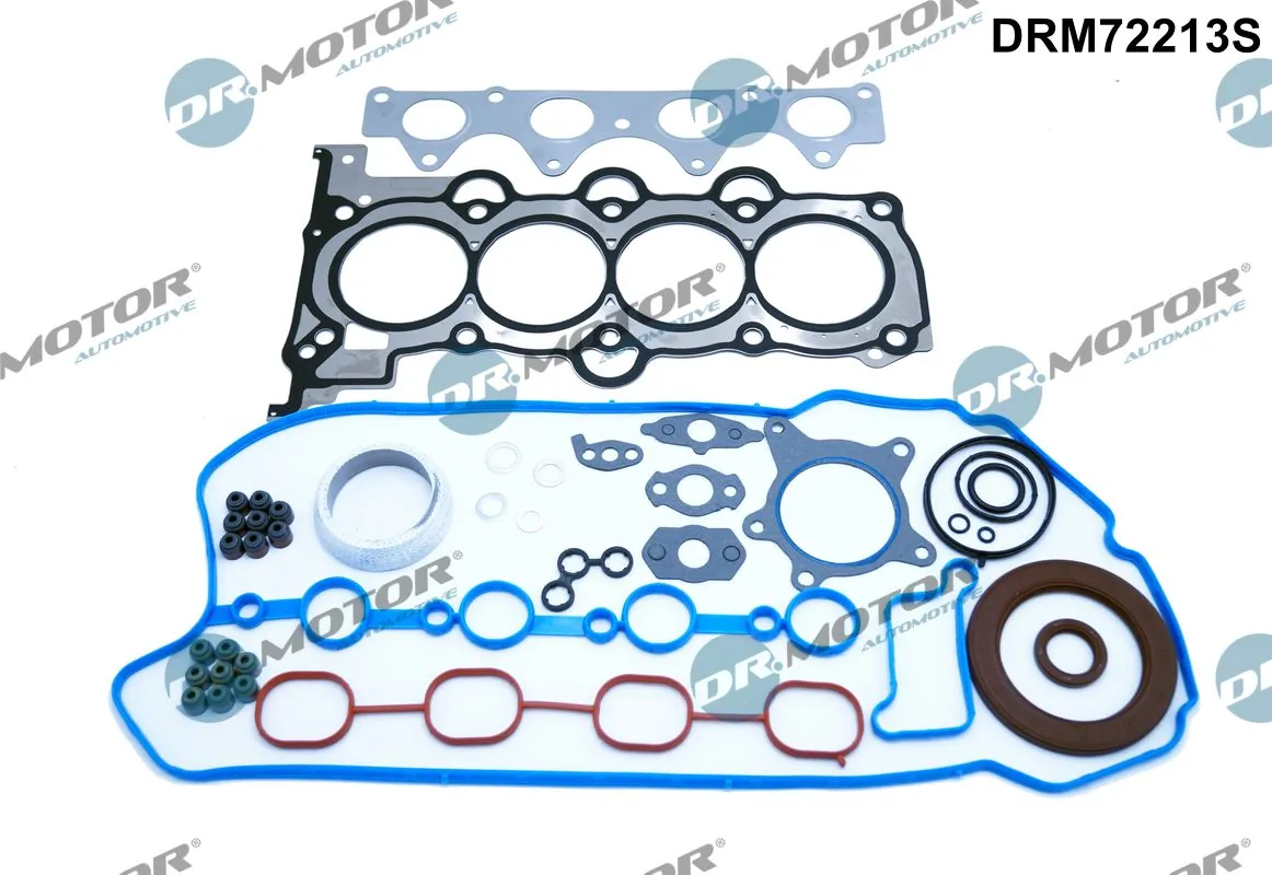 DRM72213S Dr.motor