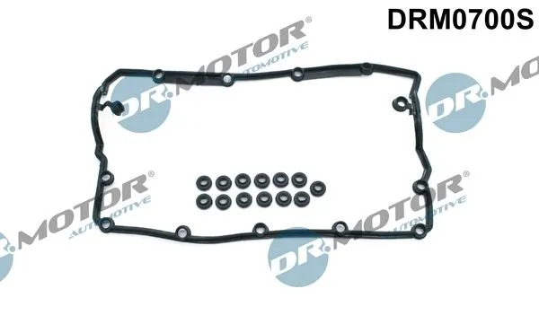 DRM0700S Dr.motor
