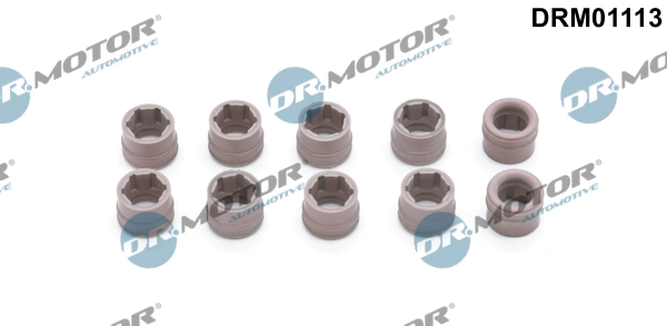 DRM01113 Dr.motor