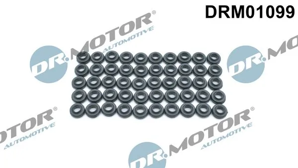 DRM01099 Dr.motor