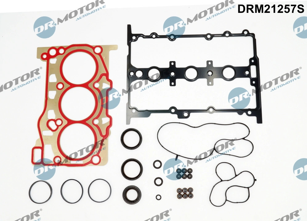DRM21257S Dr.motor