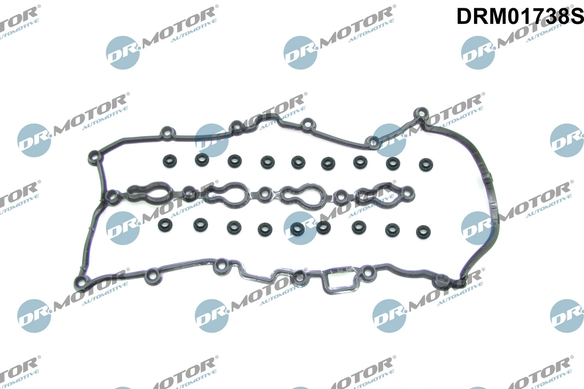 DRM01738S Dr.motor