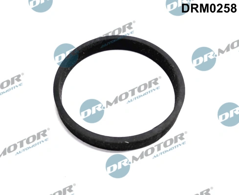 DRM0258 Dr.motor