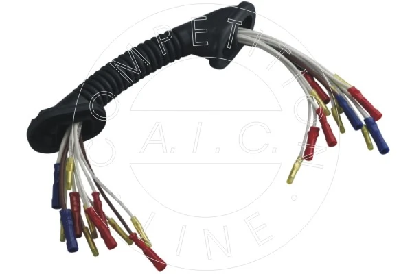56955 AIC