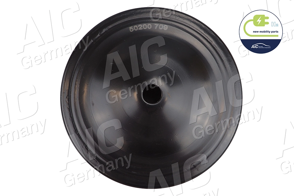 50200 AIC Disco superior metálico de mola traseira