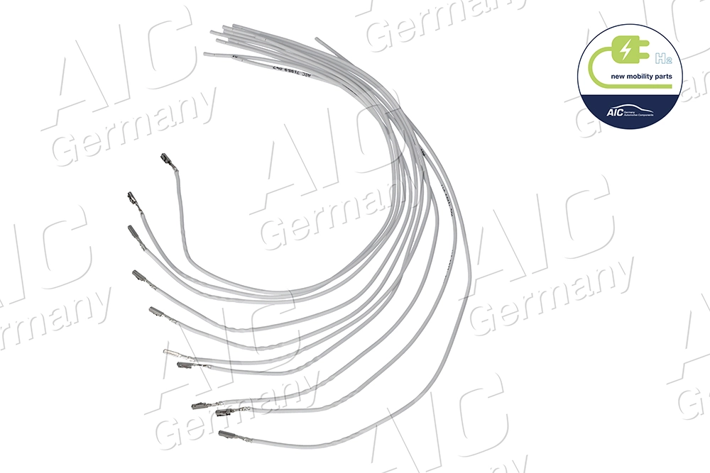 Pino do cabo 30979001 AND