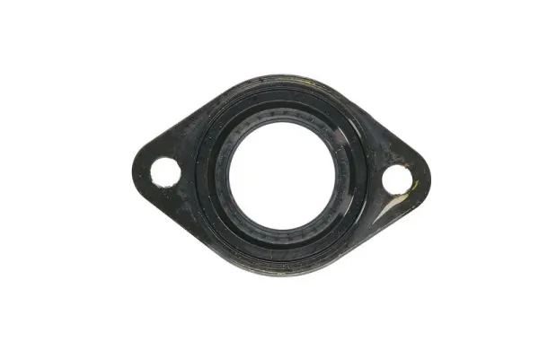 ENT250389 Engitech Vedante da tampa de válvulas de motor, anel