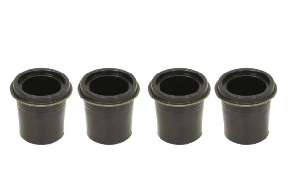 ENT2503911 Engitech Kit de reparação do injetor
