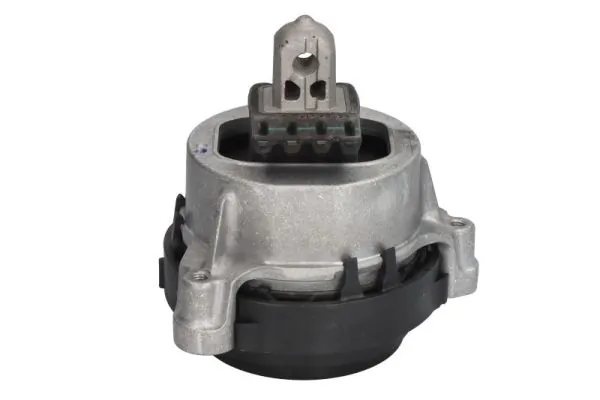 RH113139 Reinhoch