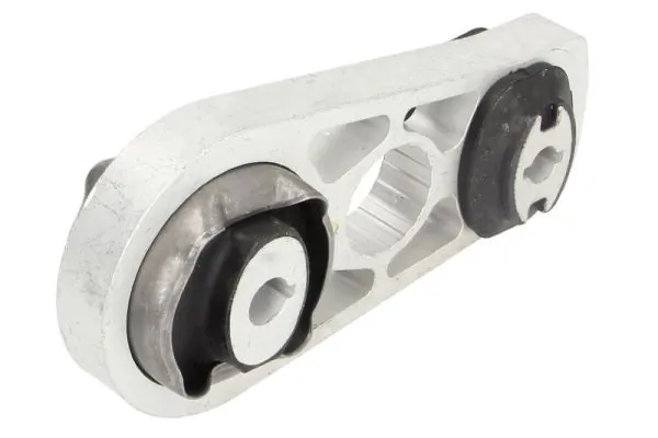 RH112171 Reinhoch