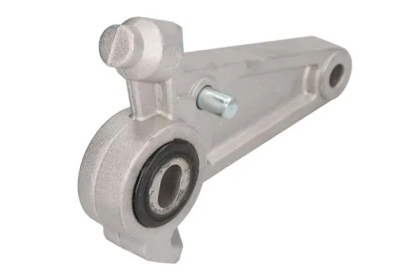 RH115077 Reinhoch