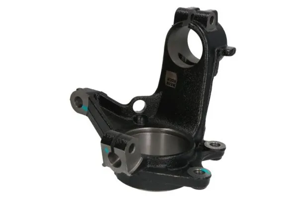 RH082007 Reinhoch