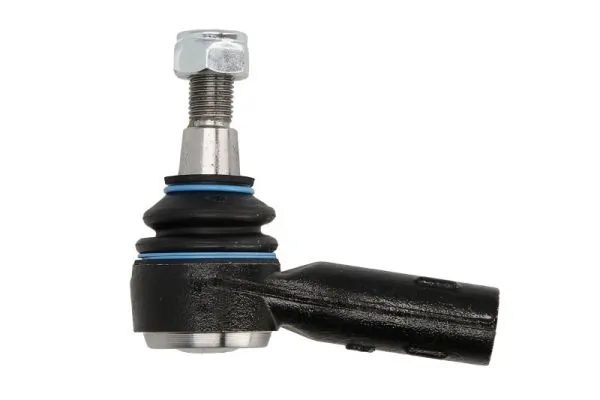 RH010033 Reinhoch