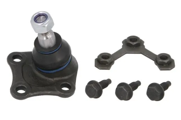 RH030026 Reinhoch