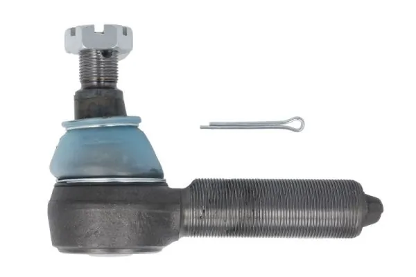 RH527013 Reinhoch