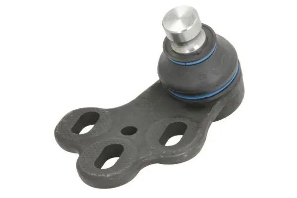 RH030014 Reinhoch