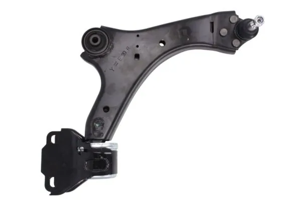 RH044034 Reinhoch