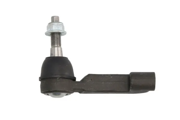 RH016002 Reinhoch