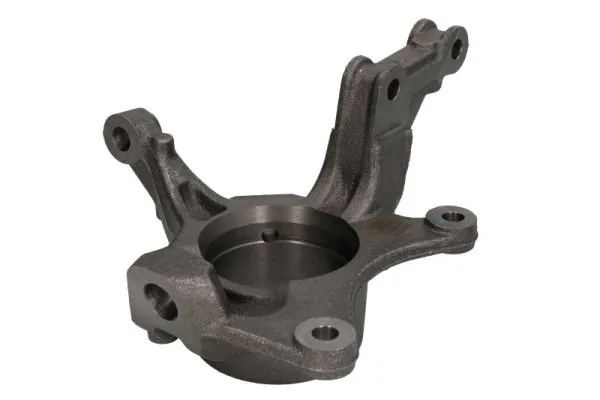 RH082031 Reinhoch