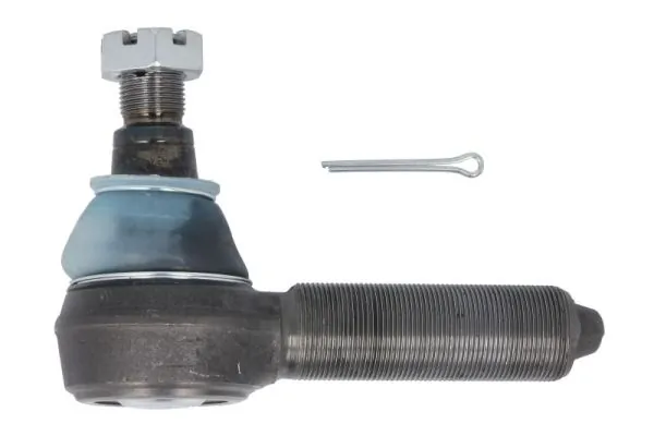 RH527014 Reinhoch