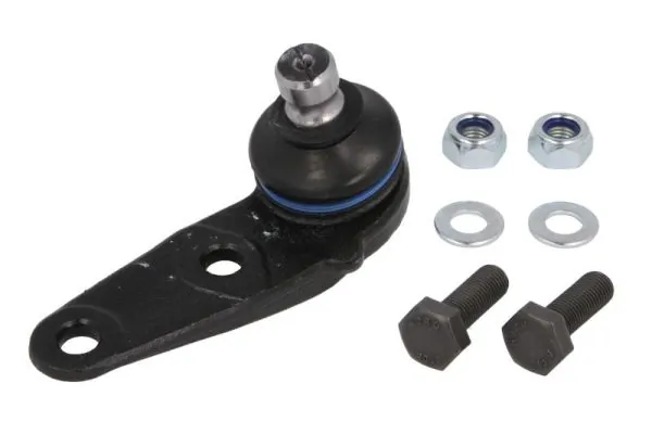 RH030036 Reinhoch