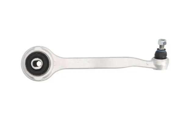RH043002 Reinhoch