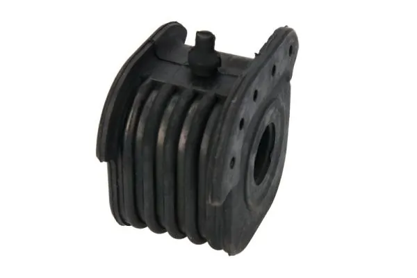 RH144035 Reinhoch