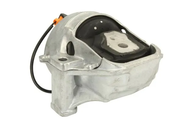 RH110079 Reinhoch