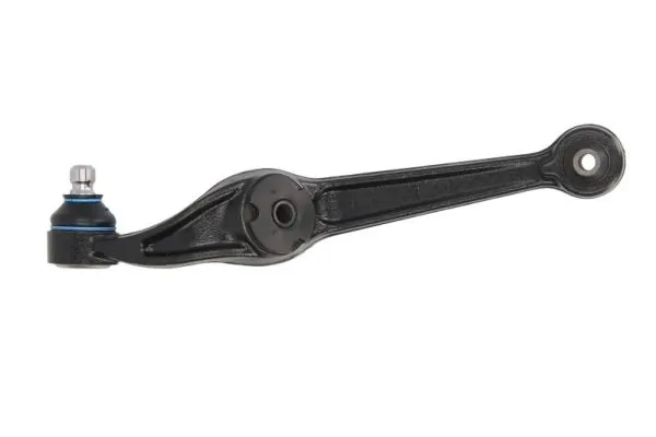 RH042004 Reinhoch