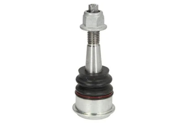 RH035018 Reinhoch