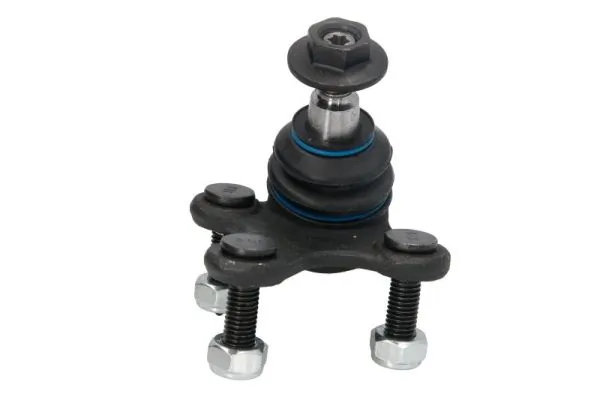 RH030024 Reinhoch
