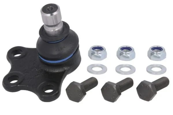 RH032044 Reinhoch