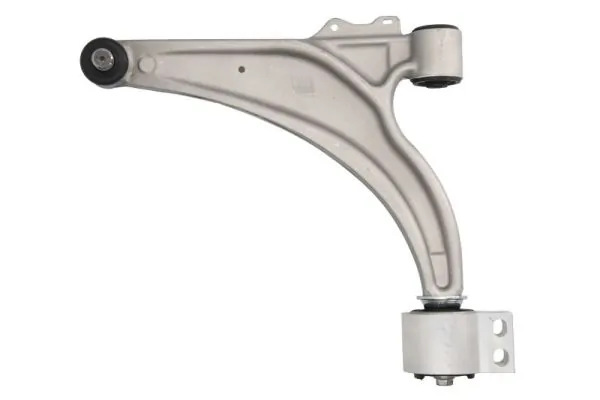 RH045028 Reinhoch