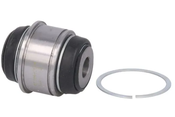 RH155009 Reinhoch